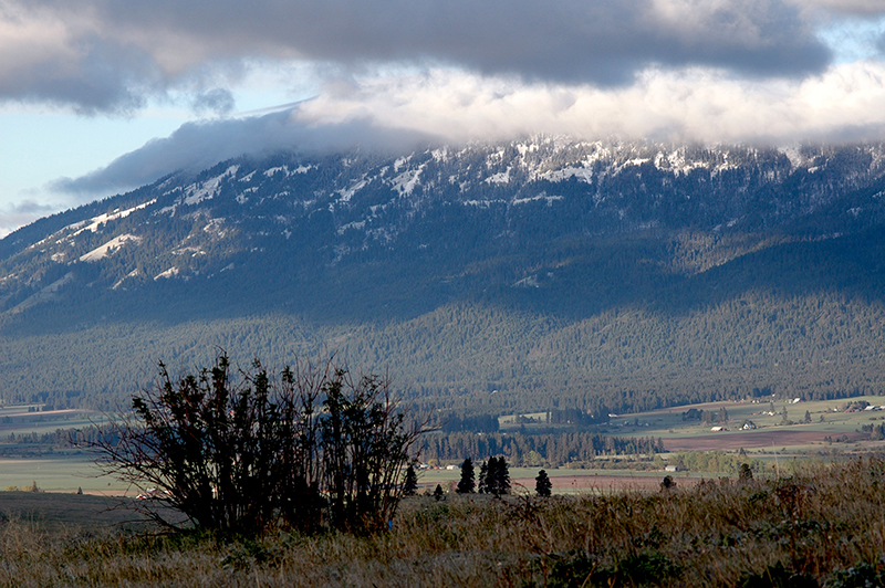 Mount Emily