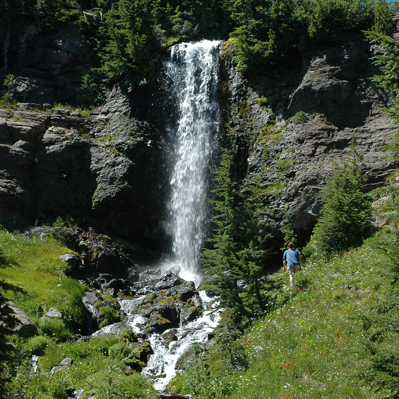 Water Fall