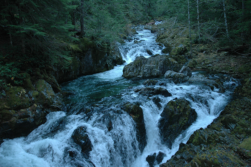 Opal Creek Waterfall